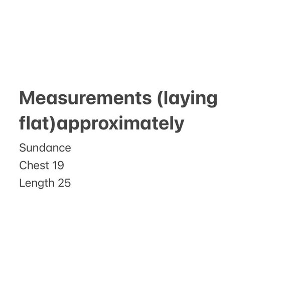 Sundance Peasant Embroidered Top Women Small Blue Plaid Puff Sleeves Boho Dainty - Picture 7 of 16